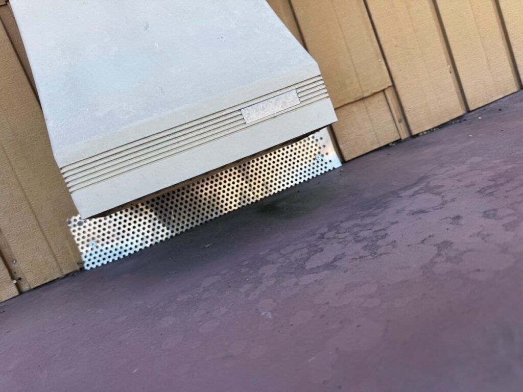 滋賀県彦根市ネズミ駆除