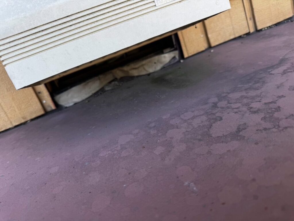 滋賀県彦根市ネズミ駆除