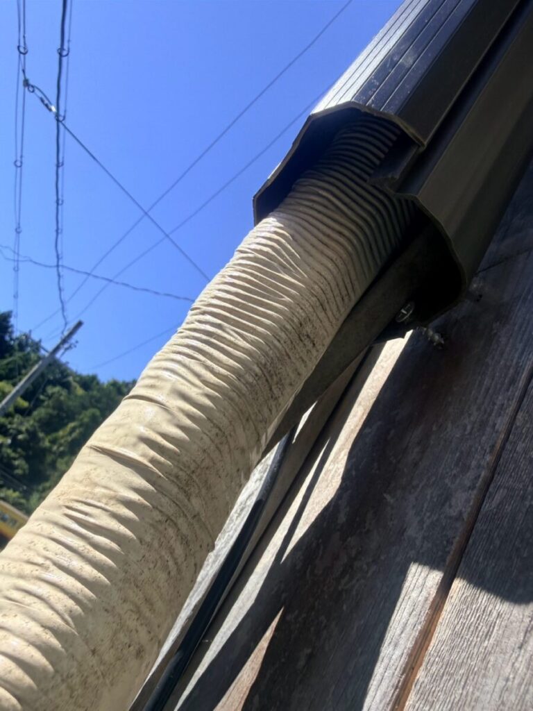 愛知県岡崎市ネズミ・コウモリ駆除