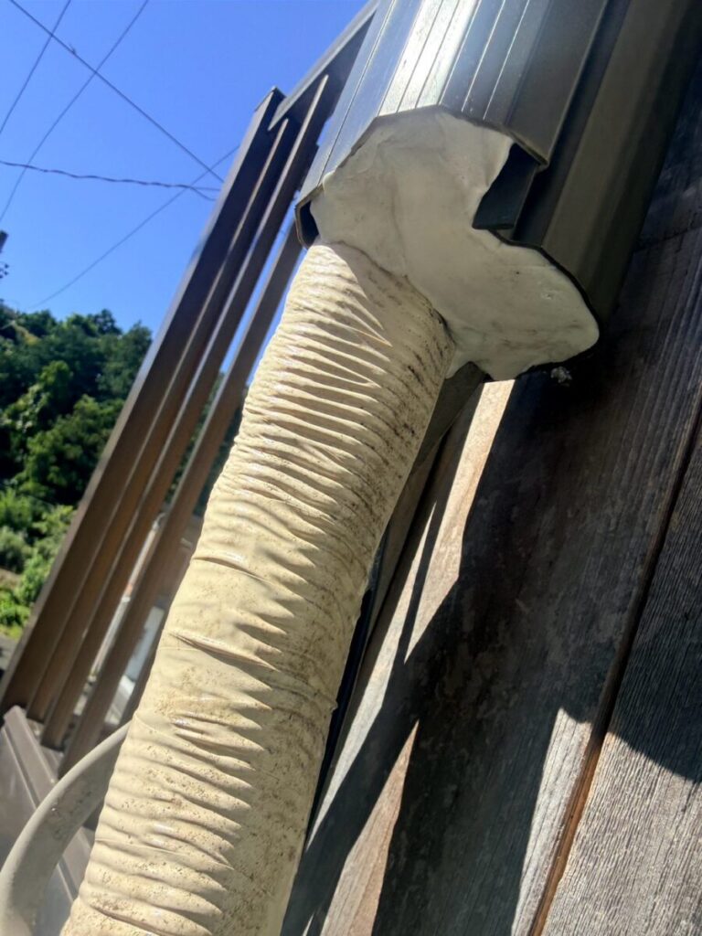 愛知県岡崎市ネズミ・コウモリ駆除