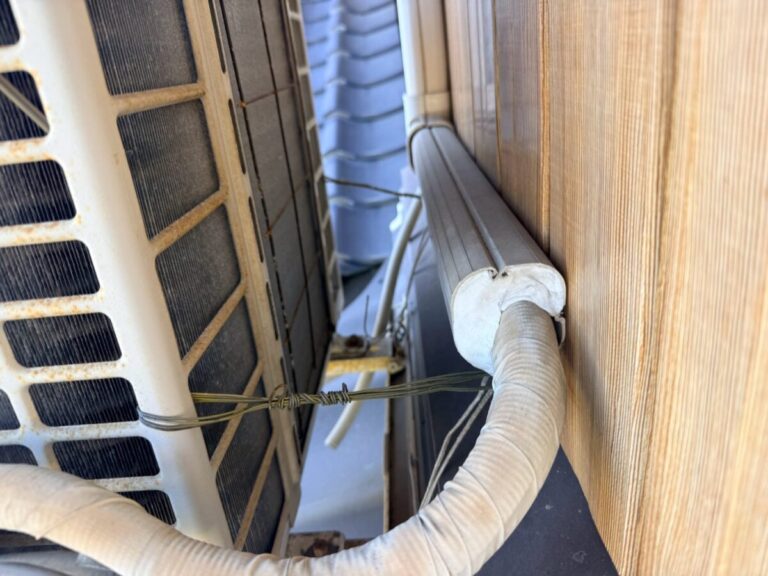 愛知県岡崎市ネズミ・コウモリ駆除