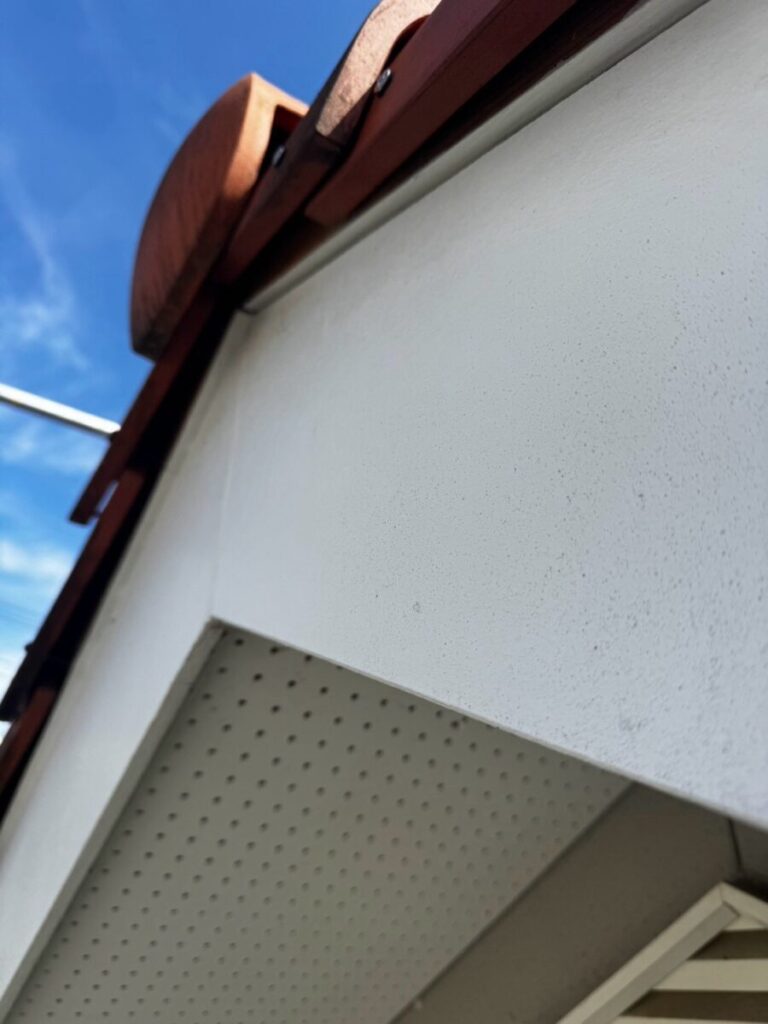 神奈川県相模原市コウモリ駆除