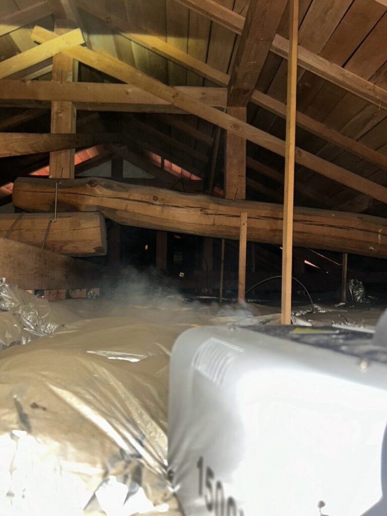 神奈川県相模原市コウモリ駆除