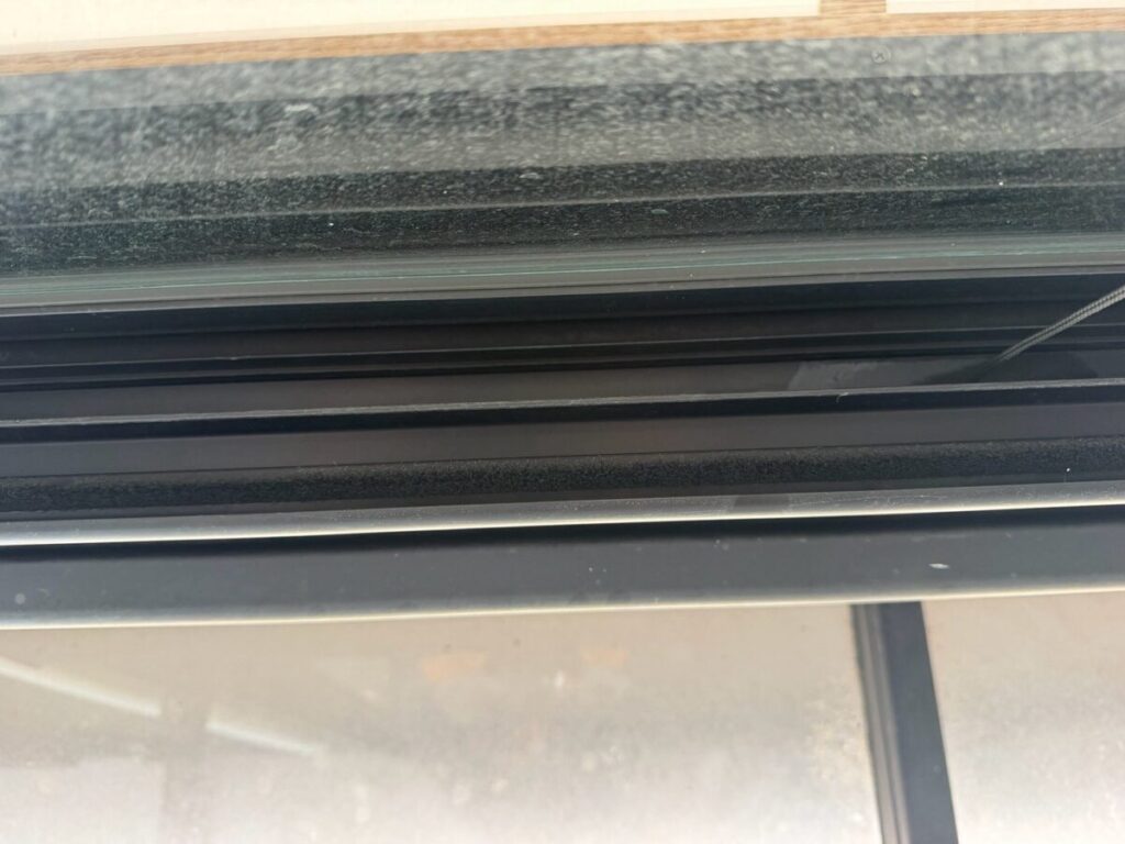 滋賀県彦根市コウモリ駆除