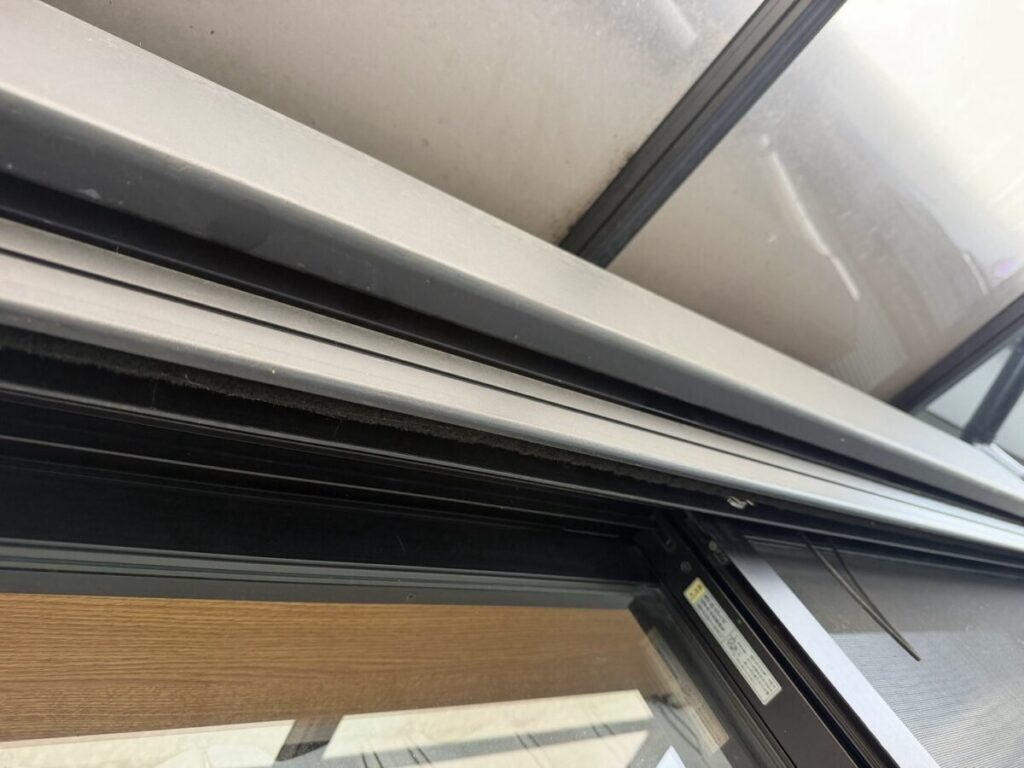 滋賀県彦根市コウモリ駆除