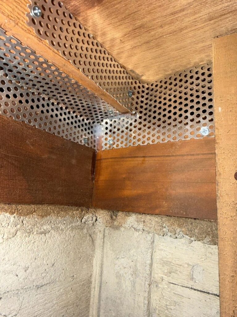 滋賀県彦根市ネズミ駆除